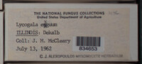 Image Associated With the Occurence